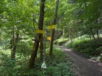 IMG_8579.jpeg