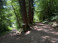 IMG_8587.jpeg