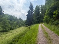 IMG_8599.jpeg