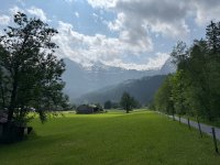 IMG_8635.jpeg