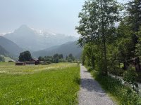 IMG_8645.jpeg