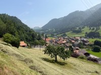 IMG_8675.jpeg
