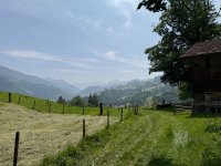 IMG_8684.jpeg