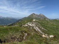 IMG_8709.jpeg