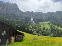 IMG_8731.jpeg