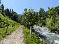 IMG_8765.jpeg