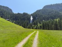 IMG_8772.jpeg