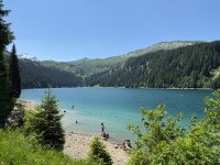 IMG_8853.jpeg