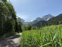 IMG_8897.jpeg