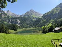 IMG_8906.jpeg