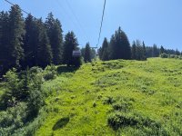 IMG_8867.jpeg