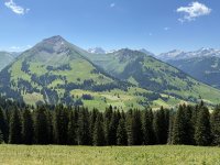 IMG_8874.jpeg