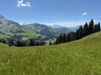 IMG_8882.jpeg