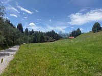 IMG_8918.jpeg