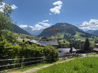 IMG_8924.jpeg