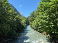 IMG_8929.jpeg