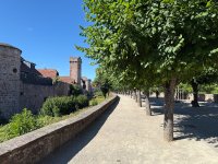 IMG_8947.jpeg