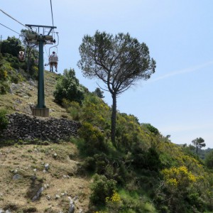 Looking up the chair lift
