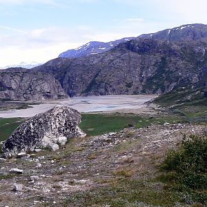 Flower Valley, Narsarsuaq 2