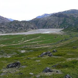 Flower Valley, Narsarsuaq