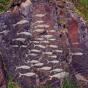 Qaqortoq Rock Carvings