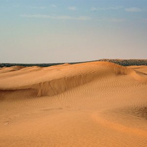 Sand dunes around Ksar Ghilane