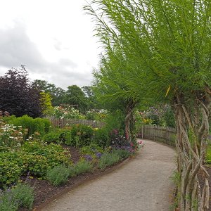 Harlow Carr Gardens