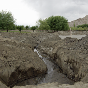 After effects of the 2010 floods