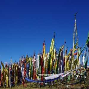 Bhutan - prayer flags