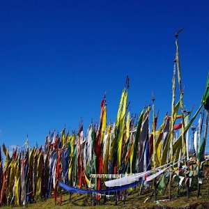 Prayer flags at Chelala Pass, Bhutan