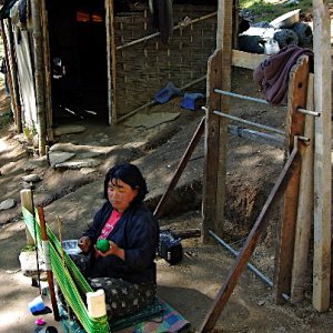 Preparing the loom ready for weaving, Motithang Takin enclosure, Thimphu, Bhutan