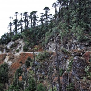 The road beyond Thrumshingla Pass, Bhutan
