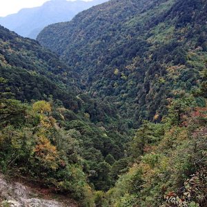 Steep wooded valley at Narling Dra, Bhutan