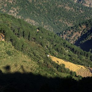 Climbing up the side of the valley to Mongar, Bhutan