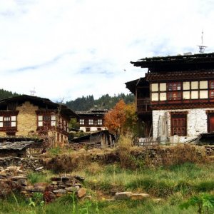 Shingkar Village