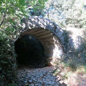 Along the Aqueduct