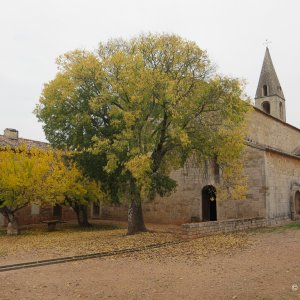 Thoronet Abbey