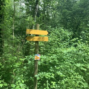 Hiking Signs