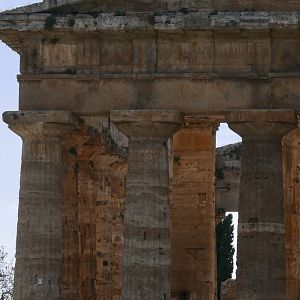 Temple of Neptune