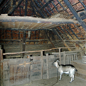 Village de l'An Mil - larger house's livestock area and loft