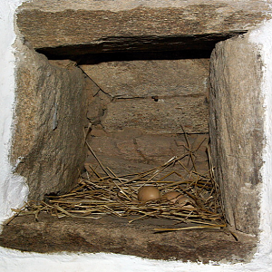 Poul Fetan nest box