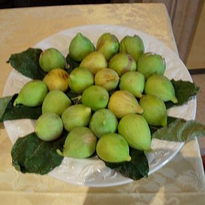 Fall figs, Umbria