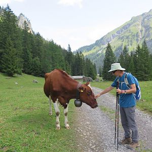 Swiss Alps - Lenk