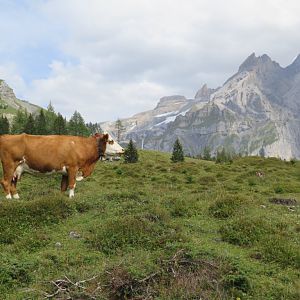 Swiss Alps - Kandersteg