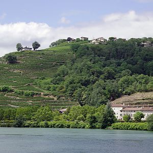 River Rhône