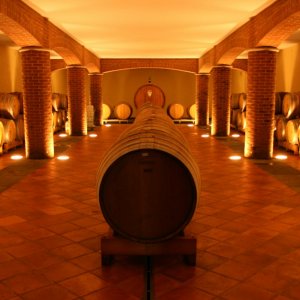 Wine cantina, Castagnole Monferrato