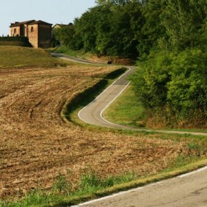 Back road to Frinco, (AT) Monferrato