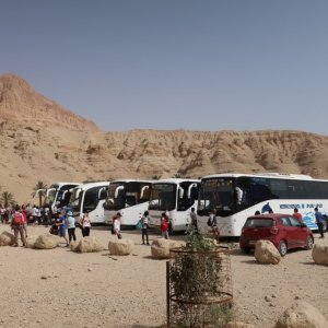 Buses at Wadi Arugot