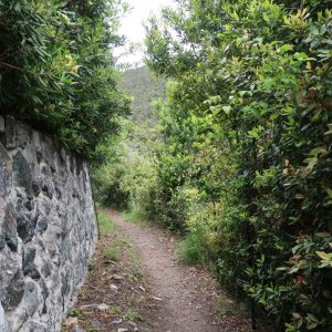 Hike from Framura to Levanto