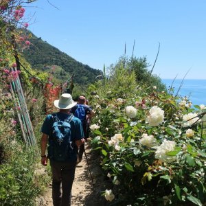 Cinque Terre Hike, Monterosso to Vernazza